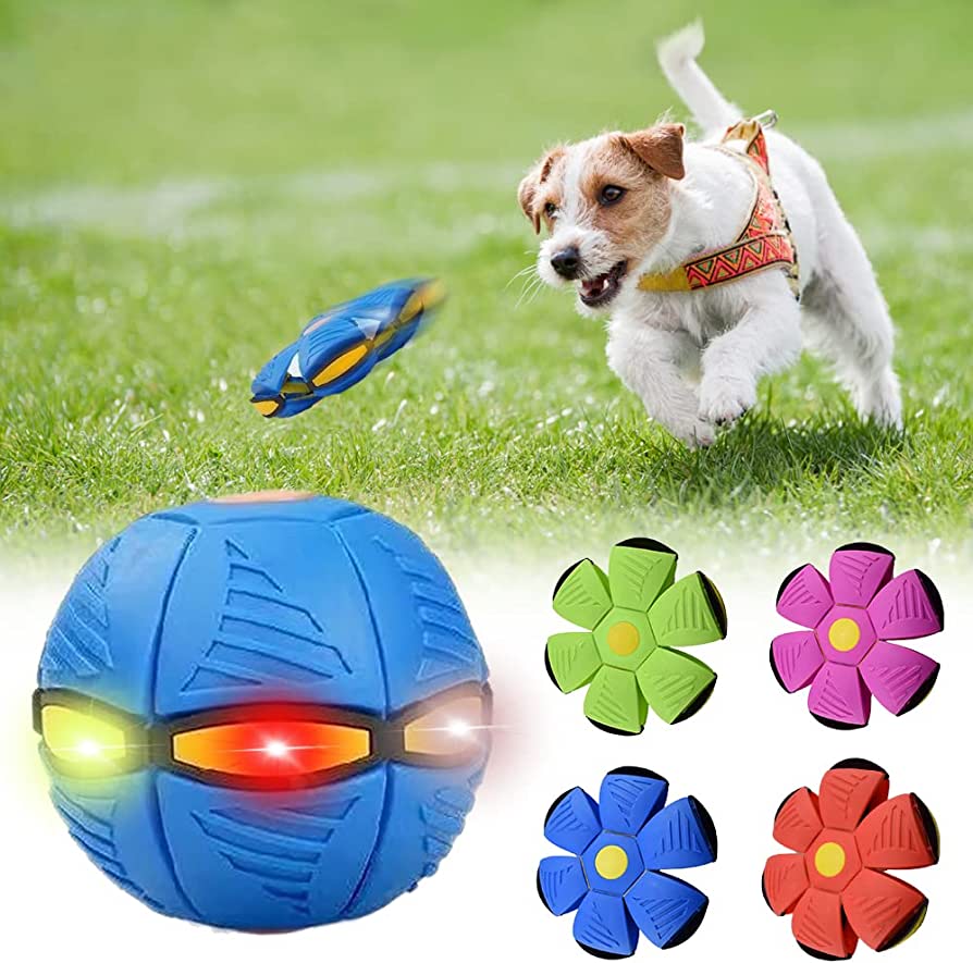 Tropic Solutions™ Dog Frisbee