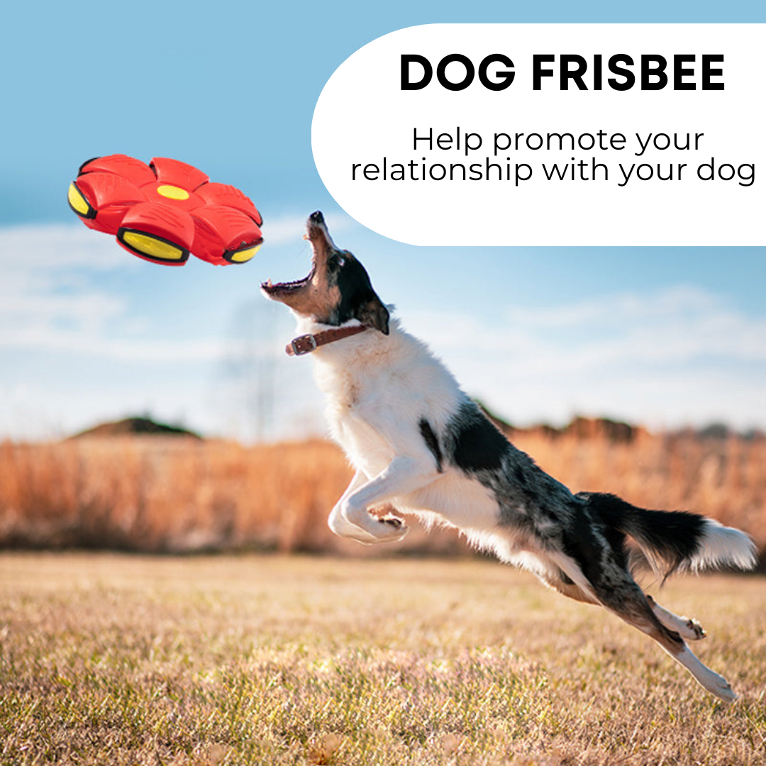 Tropic Solutions™ Dog Frisbee