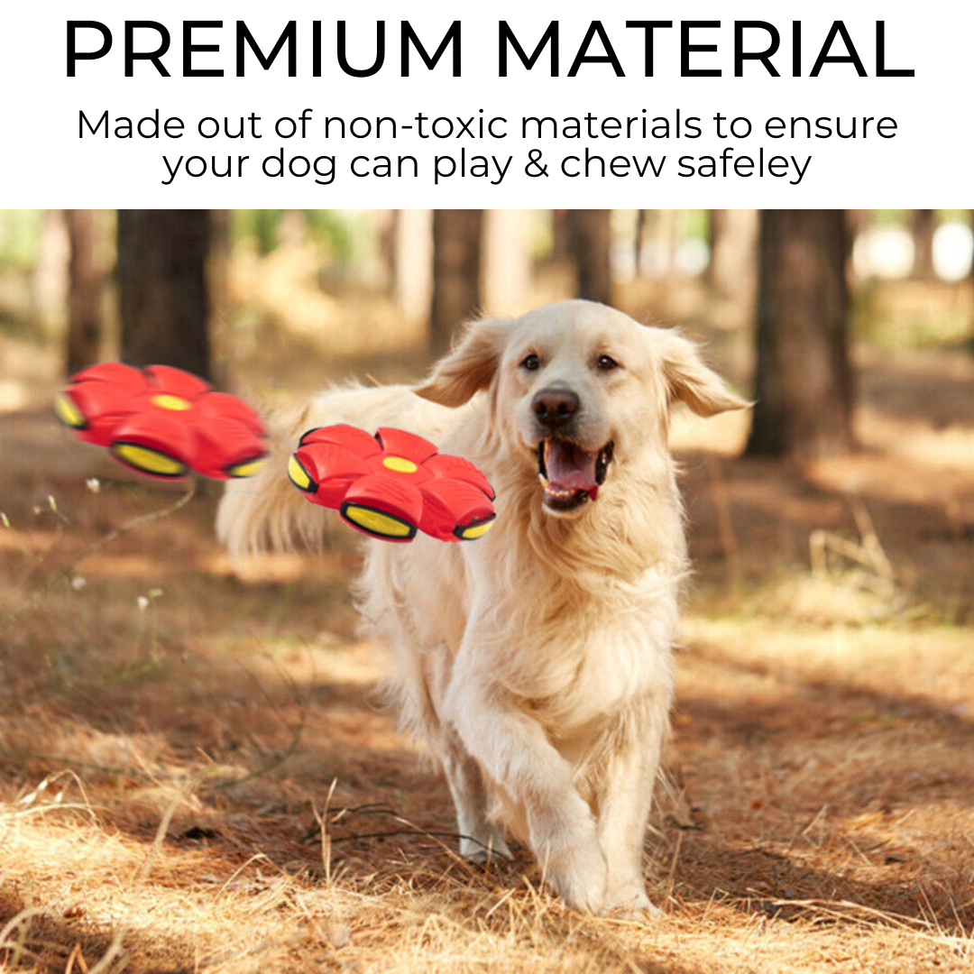 Tropic Solutions™ Dog Frisbee