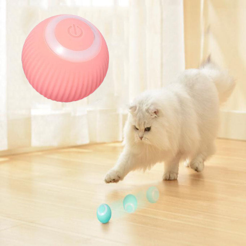 Tropic Solutions Interactive Ball